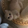 东营百货商场购物前要做什么:预算与清单管理方法 东营百货商场购物前要做什么:预算与清单管理方法